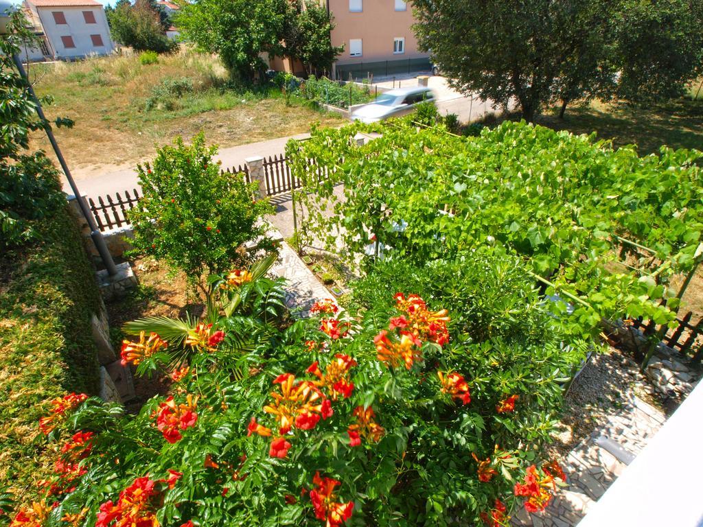 Apartments Zlatko 1397 Štinjan Esterno foto